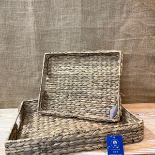 Bandeja jacinto de agua - Imagen 1