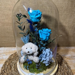 Cúpula en tonos azul con peluche - Imagen 1