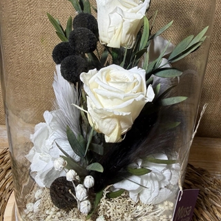 Cúpula en tonos beis - Imagen 2