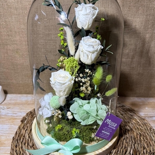 Cúpula en tonos blancos - Imagen 1