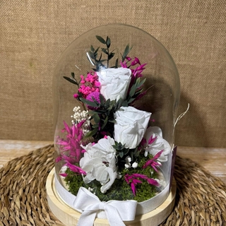 Cúpula en tonos blancos - Imagen 1