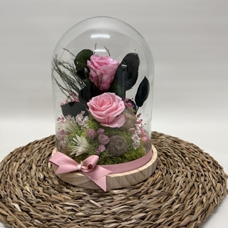 Cúpula en tonos rosa - Imagen 1