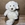 Oso de peluche blanco - Imagen 1