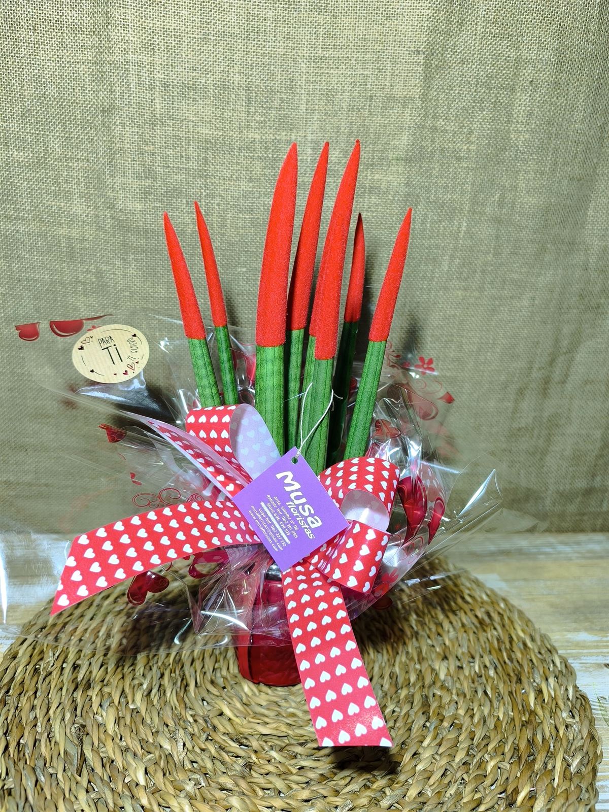 Sansevieria roja 1 - Imagen 1