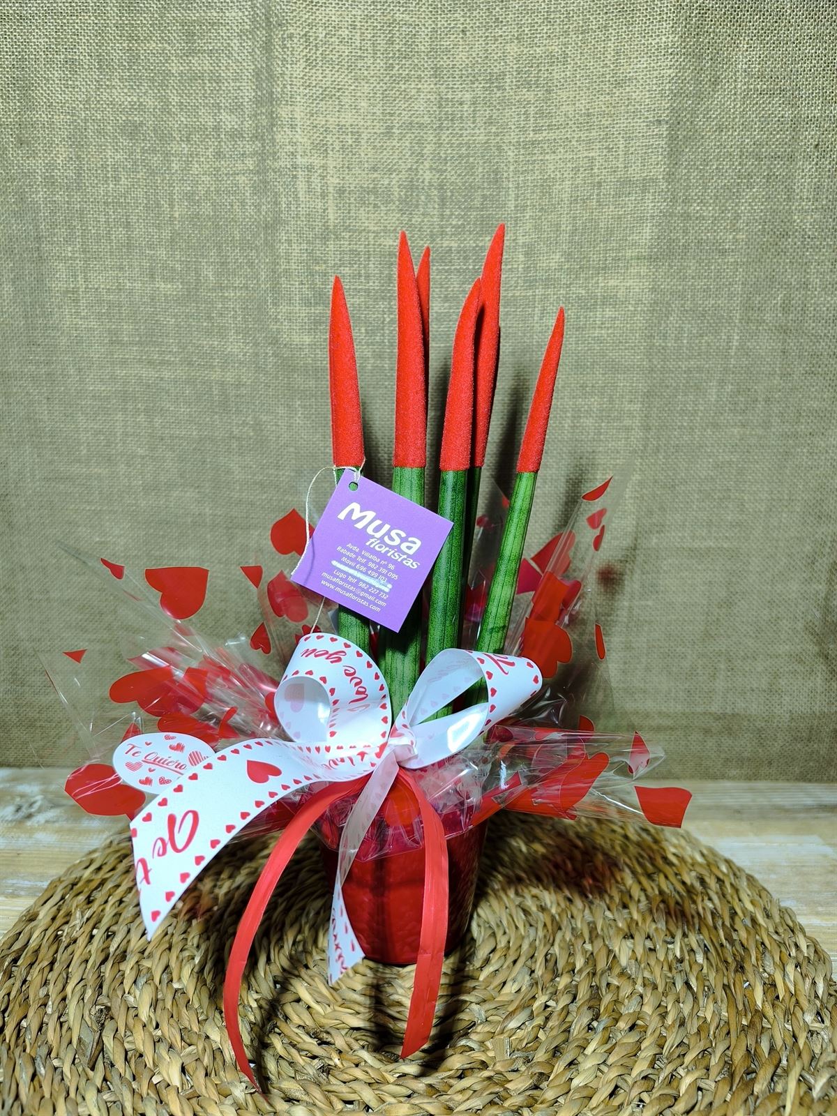 Sansevieria roja 2 - Imagen 2