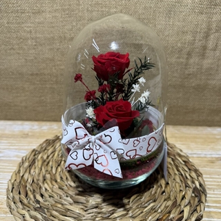 Terrario cápsula rojo - Imagen 2