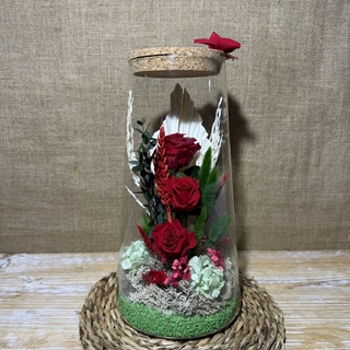 Terrario cónico invert - Imagen 1