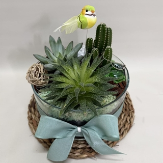 Terrario en cristal en tono verde - Imagen 2