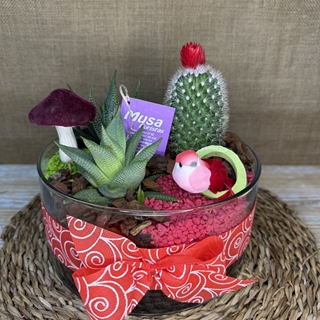 Terrario en cristal redondo en tonos rojos - Imagen 1