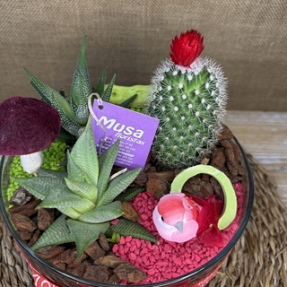 Terrario en cristal redondo en tonos rojos - Imagen 2