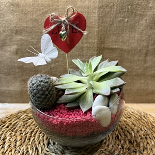 Terrario en pecera cortada pequeña - Imagen 1