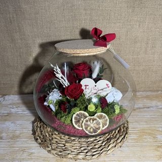 Terrario inside rojo - Imagen 2