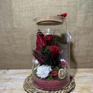 Terrario mery rojo - Imagen 1