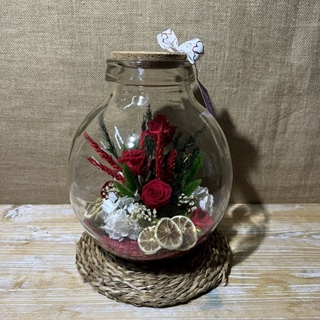 Terrario rojo - Imagen 1