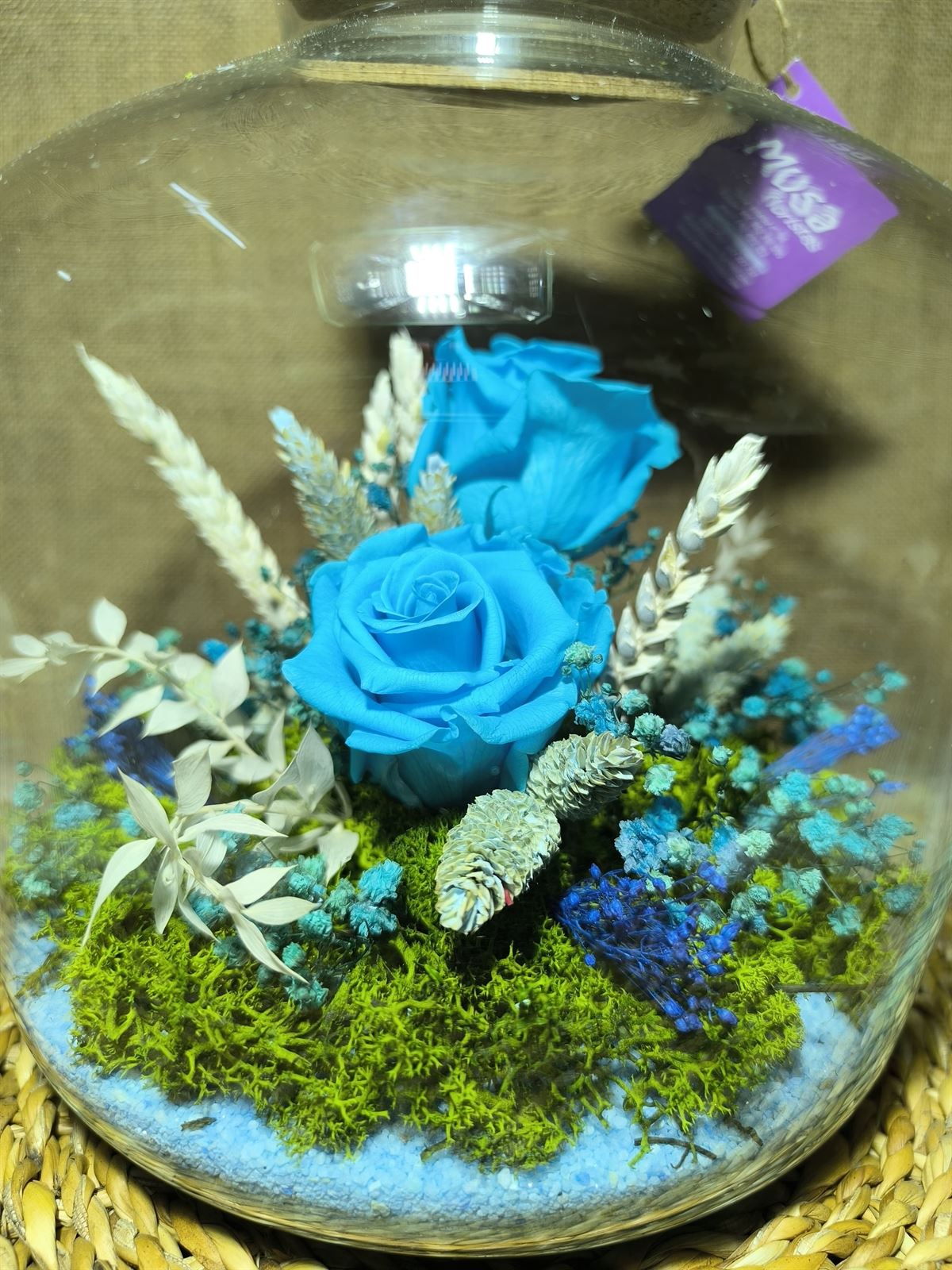 Terrarium con tapa de corcho tonos azul - Imagen 1