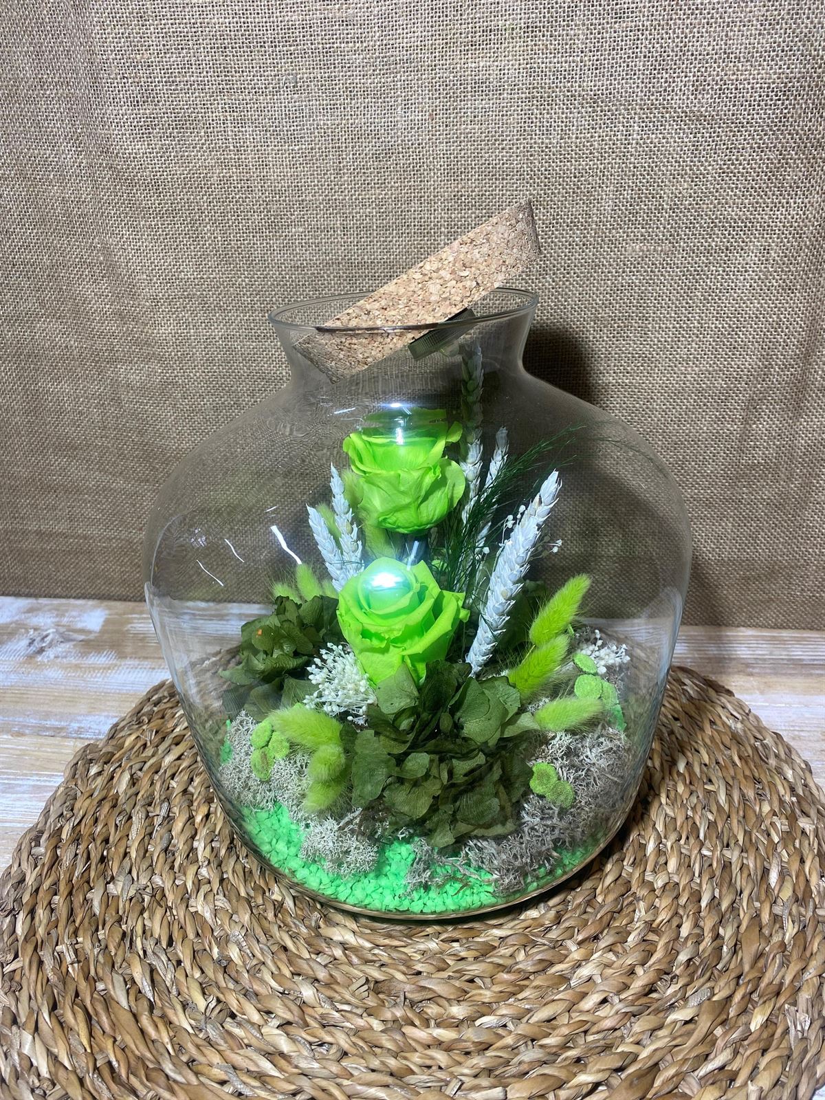 Terrarium con tapa de corcho y luz en tonos verde pistacho - Imagen 5