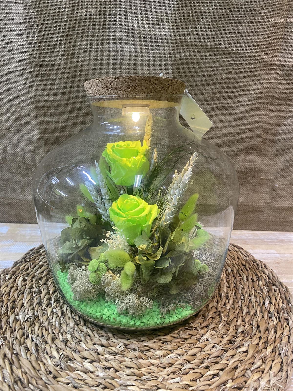 Terrarium con tapa de corcho y luz en tonos verde pistacho - Imagen 6