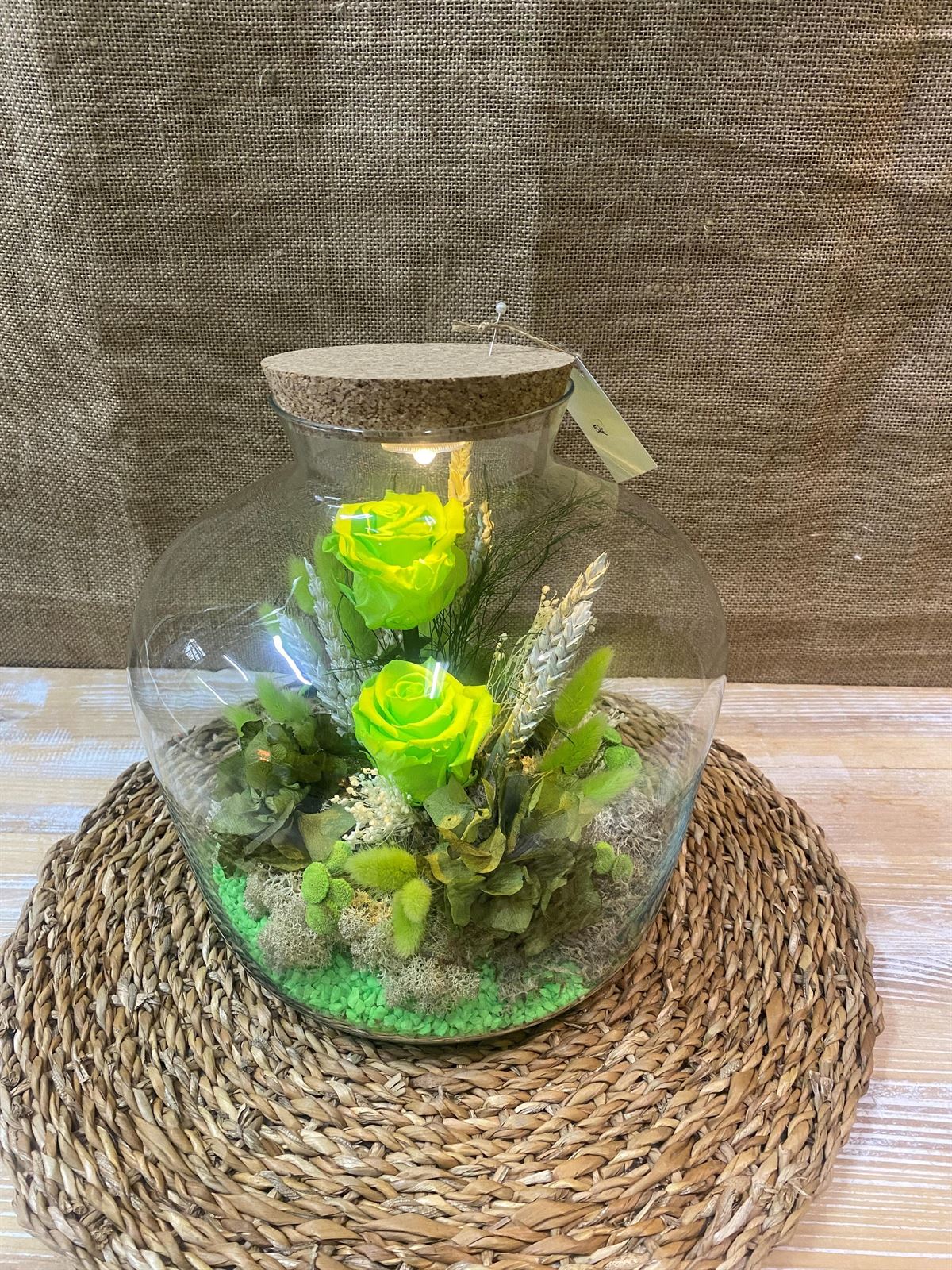 Terrarium con tapa de corcho y luz en tonos verde pistacho - Imagen 7