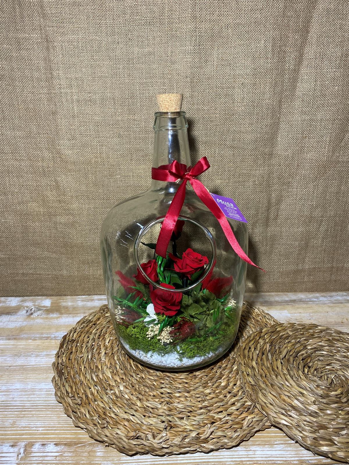 Terrarium en forma de botella grande - Imagen 1