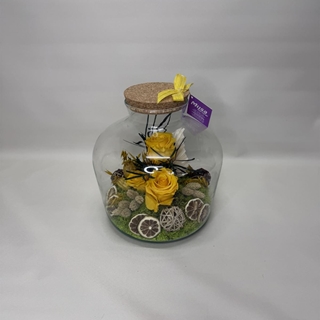 Terrarium en tono amarillos - Imagen 1