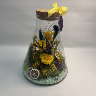 Terrarium en tono amarillos - Imagen 1