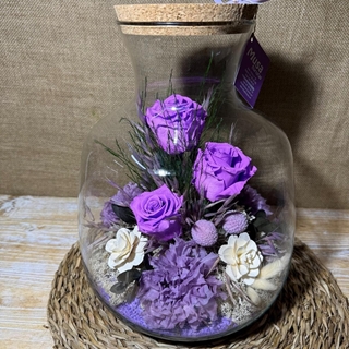 Terrarium en tonos lilas - Imagen 1