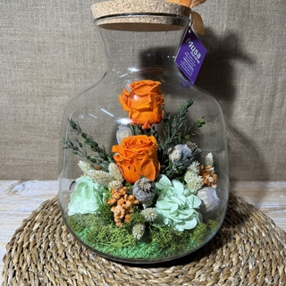 Terrarium en tonos naranja - Imagen 1