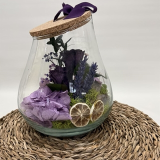 Terrarium kumbolo en tonos morados - Imagen 2