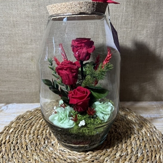 Terrarium rojo - Imagen 1