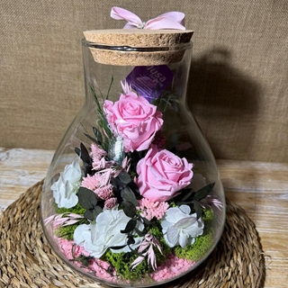Terrarium tony en tonos rosa - Imagen 2